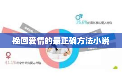 挽回爱情的最正确方法小说