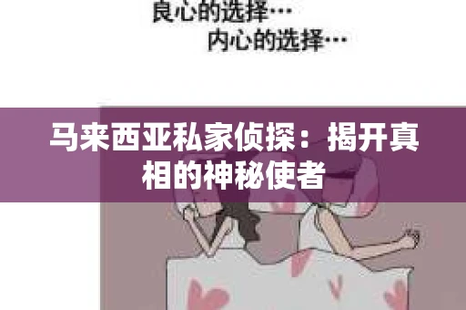 马来西亚私家侦探：揭开真相的神秘使者