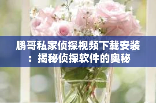 鹏哥私家侦探视频下载安装：揭秘侦探软件的奥秘
