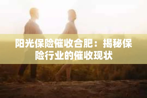 阳光保险催收合肥：揭秘保险行业的催收现状