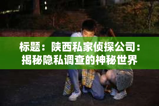 标题：陕西私家侦探公司：揭秘隐私调查的神秘世界