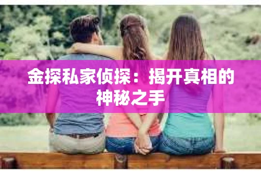 金探私家侦探：揭开真相的神秘之手