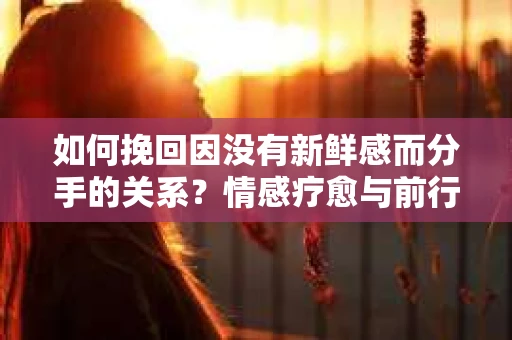 如何挽回因没有新鲜感而分手的关系？情感疗愈与前行计划