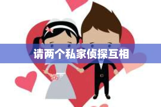 请两个私家侦探互相