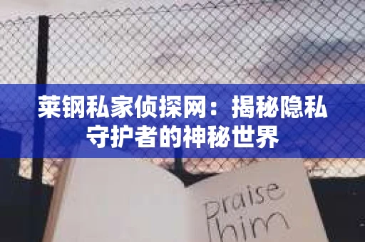 莱钢私家侦探网：揭秘隐私守护者的神秘世界