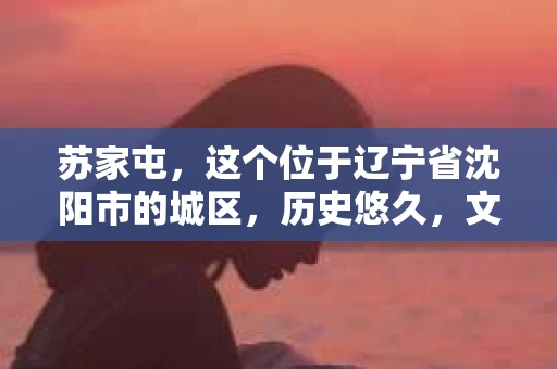 苏家屯，这个位于辽宁省沈阳市的城区，历史悠久，文化底蕴深厚。近年来，随着社会的发展，人们对于私家侦探的需求也逐渐增加。那么，苏家屯有私家侦探吗？今天，我们就来聊聊这个话题。