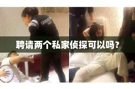 聘请两个私家侦探可以吗？
