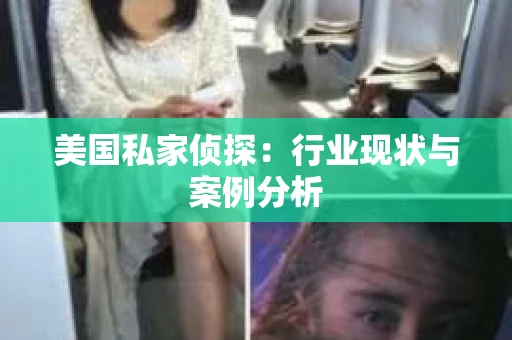 美国私家侦探：行业现状与案例分析