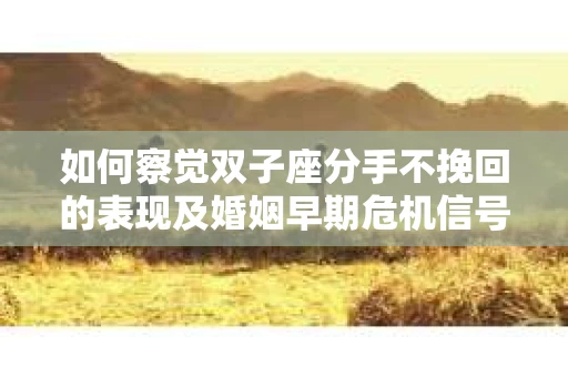 如何察觉双子座分手不挽回的表现及婚姻早期危机信号？