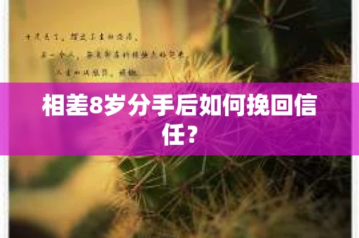 相差8岁分手后如何挽回信任？