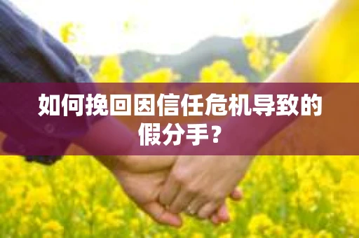 如何挽回因信任危机导致的假分手？