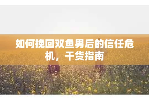 如何挽回双鱼男后的信任危机，干货指南