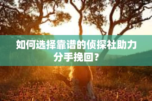 如何选择靠谱的侦探社助力分手挽回？