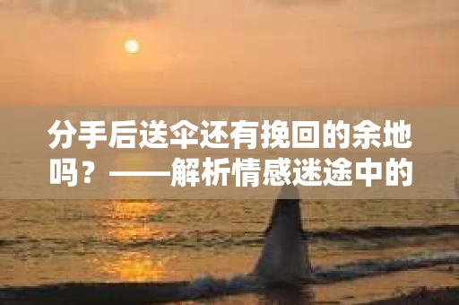 分手后送伞还有挽回的余地吗？——解析情感迷途中的决策