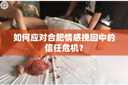 如何应对合肥情感挽回中的信任危机？