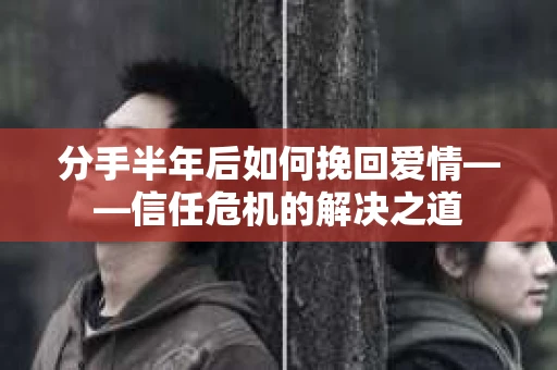 分手半年后如何挽回爱情——信任危机的解决之道