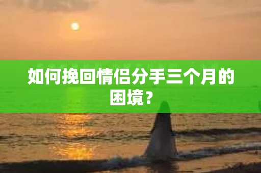如何挽回情侣分手三个月的困境？